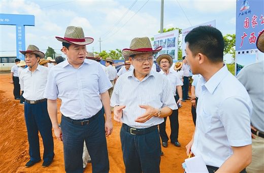 AG�����羺���ֲ�(�й���)������