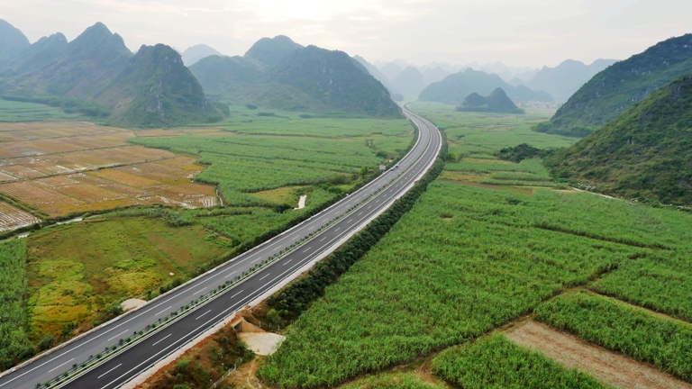 AG�����羺���ֲ�(�й���)������