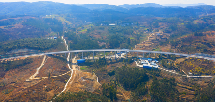 AG�����羺���ֲ�(�й���)������