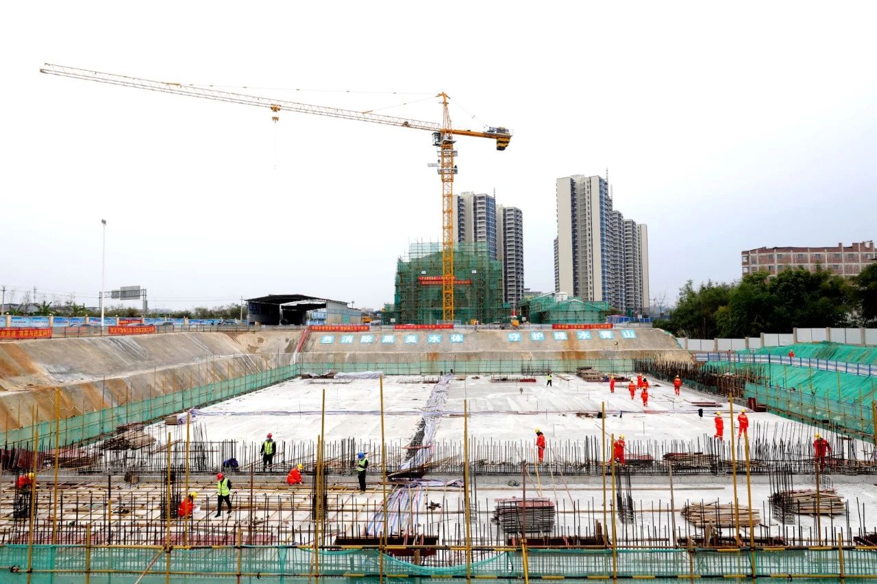 AG�����羺���ֲ�(�й���)������