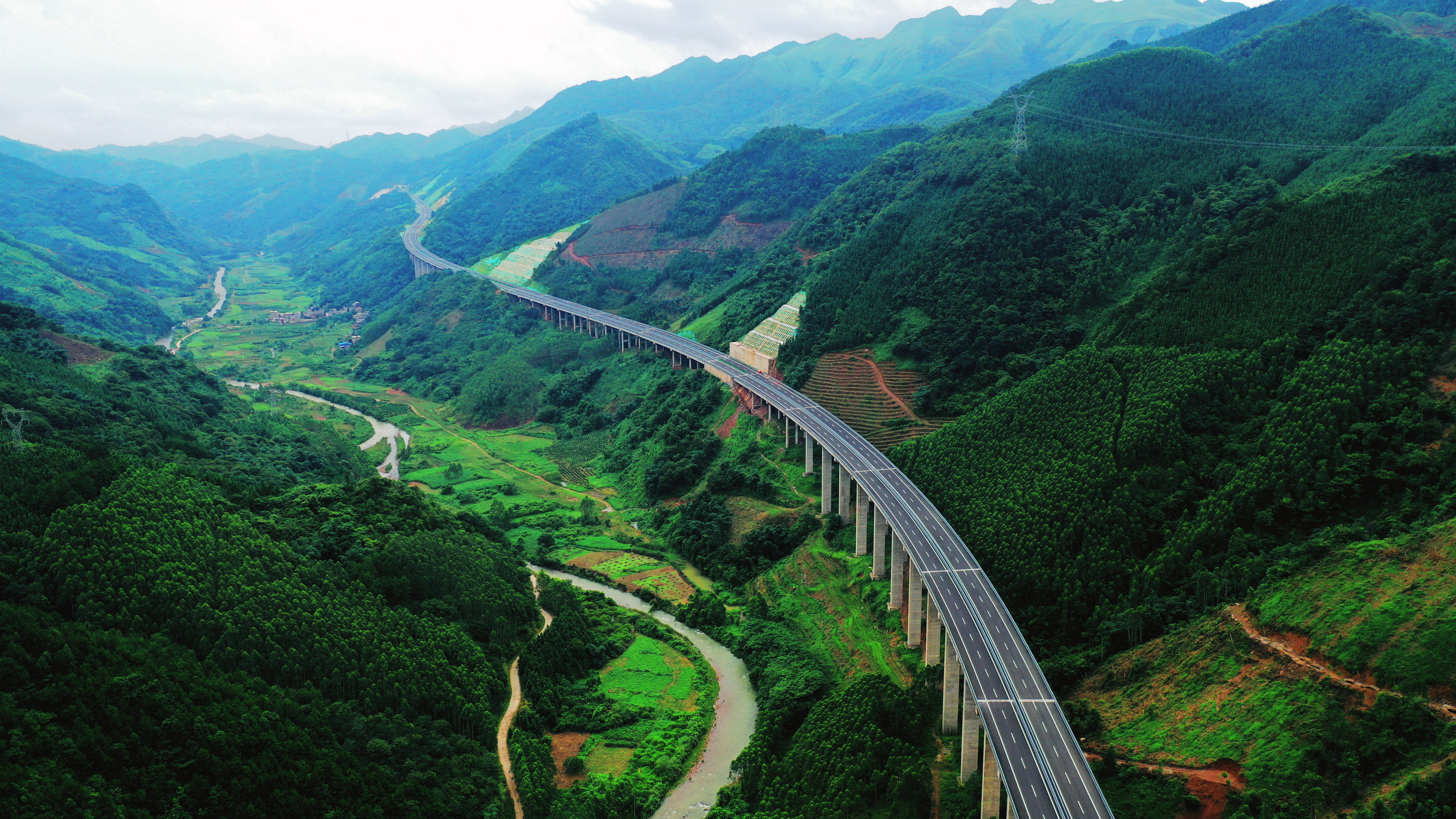 AG�����羺���ֲ�(�й���)������