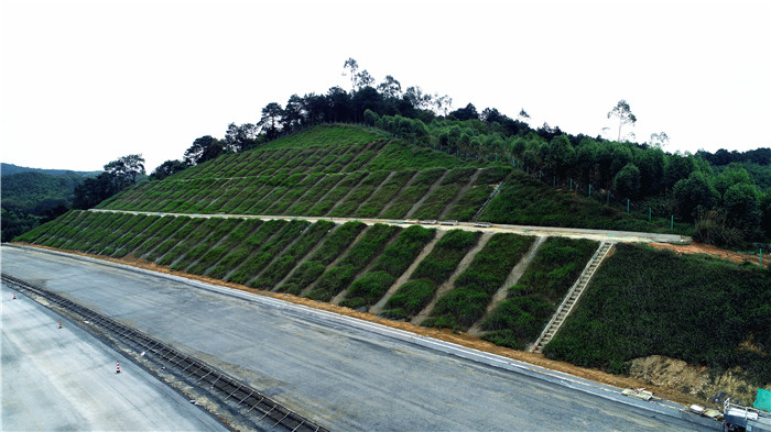 AG超玩会电竞俱乐部(中国区)·集团