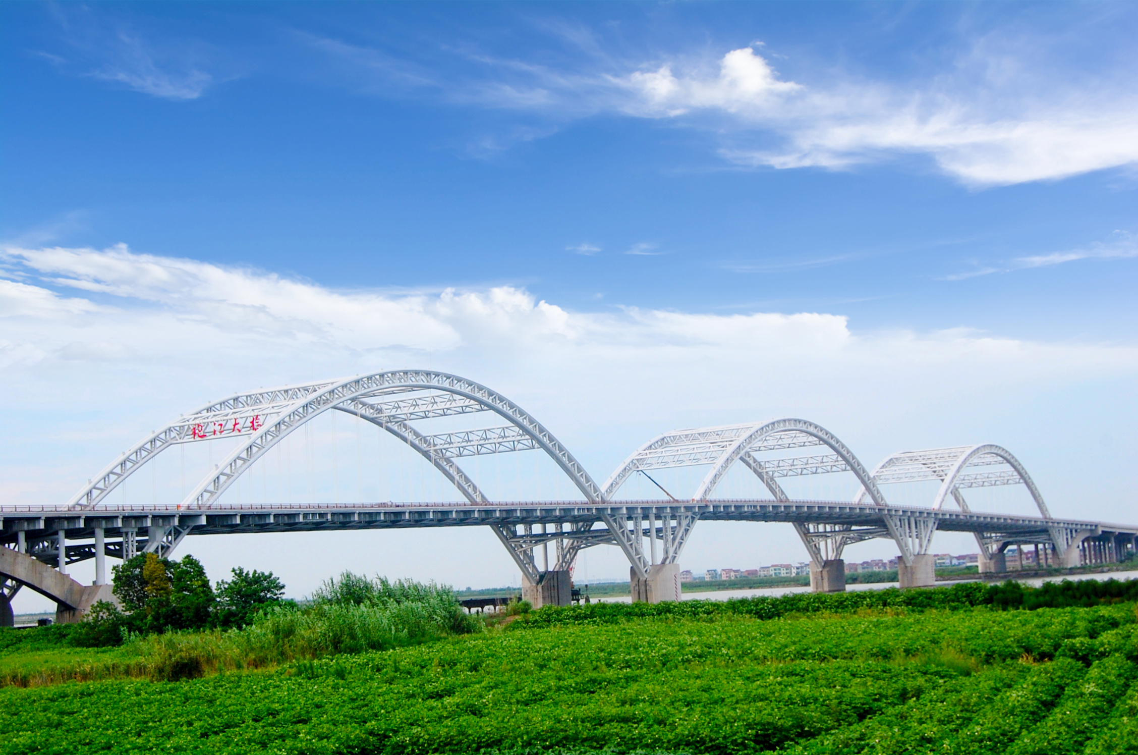 AG�����羺���ֲ�(�й���)������