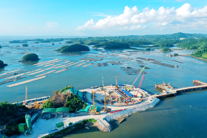 AG�����羺���ֲ�(�й���)������