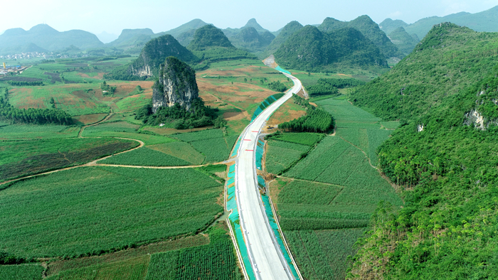 AG�����羺���ֲ�(�й���)������