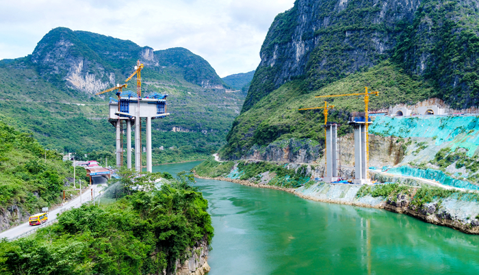 AG�����羺���ֲ�(�й���)������