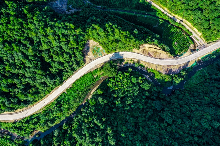 AG�����羺���ֲ�(�й���)������