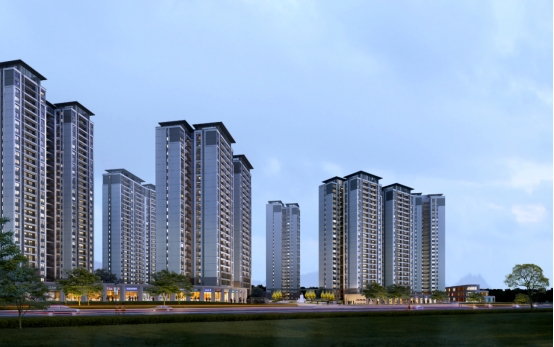 AG�����羺���ֲ�(�й���)������