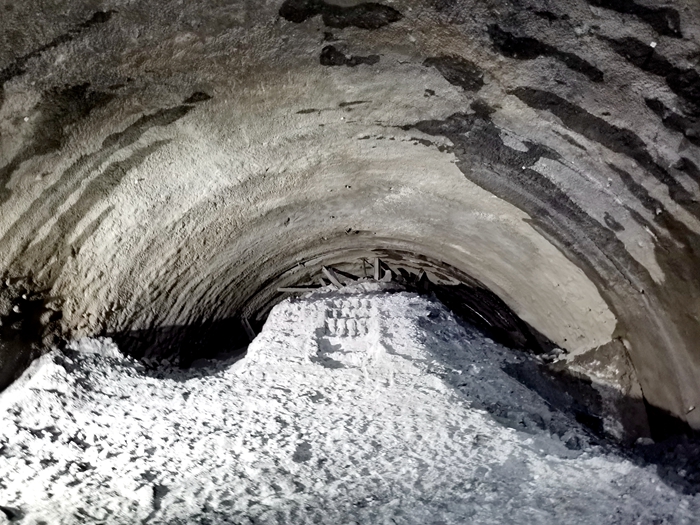 AG�����羺���ֲ�(�й���)������