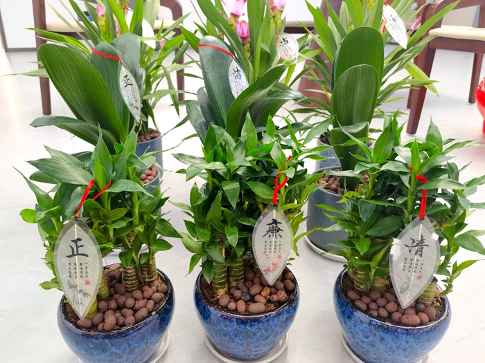 AG超玩会电竞俱乐部(中国区)·集团