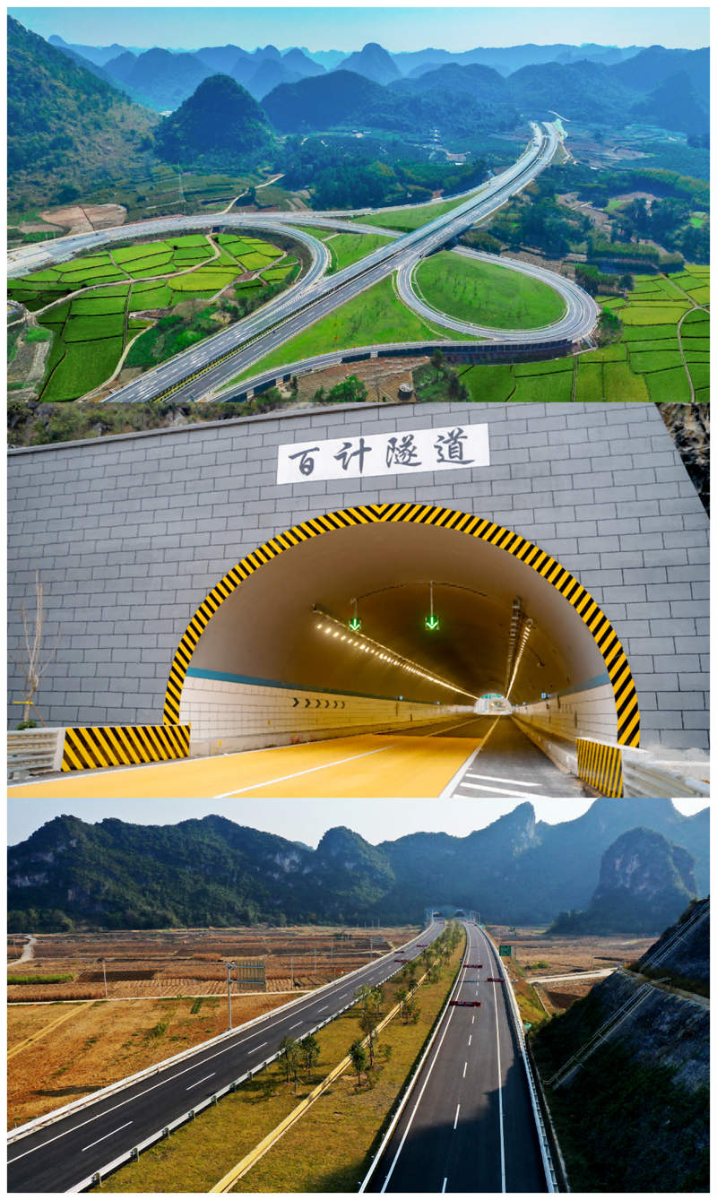 AG�����羺���ֲ�(�й���)������