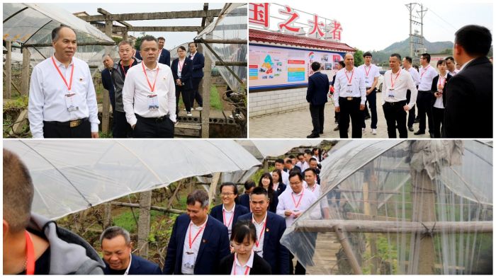 AG超玩会电竞俱乐部(中国区)·集团