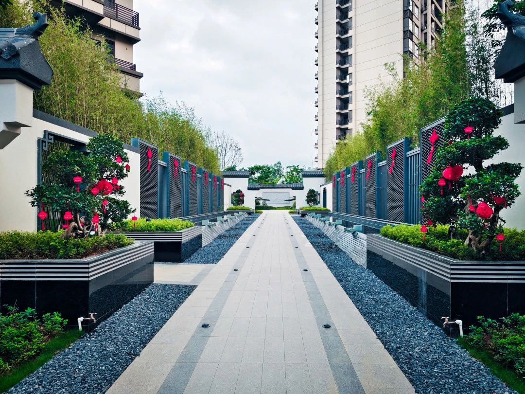 AG�����羺���ֲ�(�й���)������