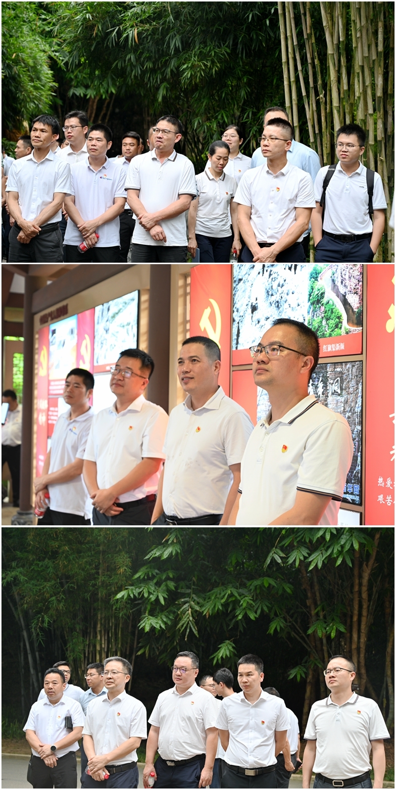 AG�����羺���ֲ�(�й���)������