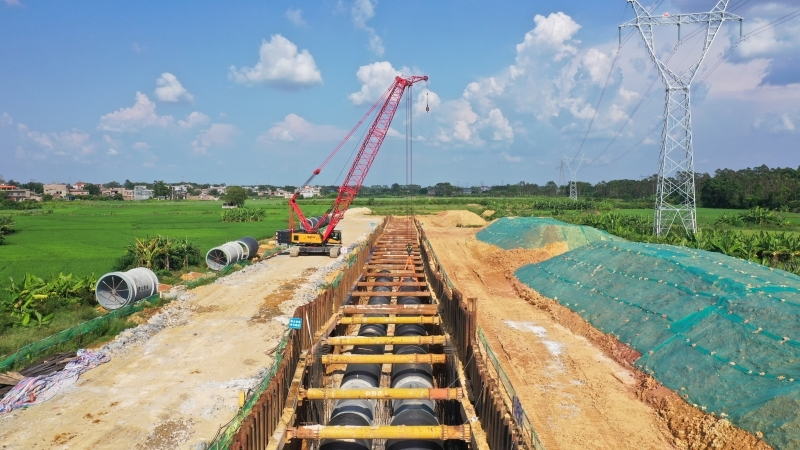 AG�����羺���ֲ�(�й���)������