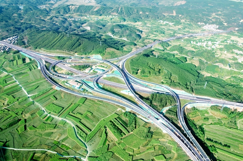 AG�����羺���ֲ�(�й���)������