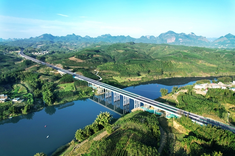 AG�����羺���ֲ�(�й���)������