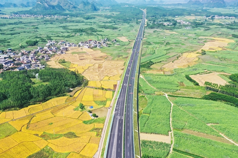 AG�����羺���ֲ�(�й���)������