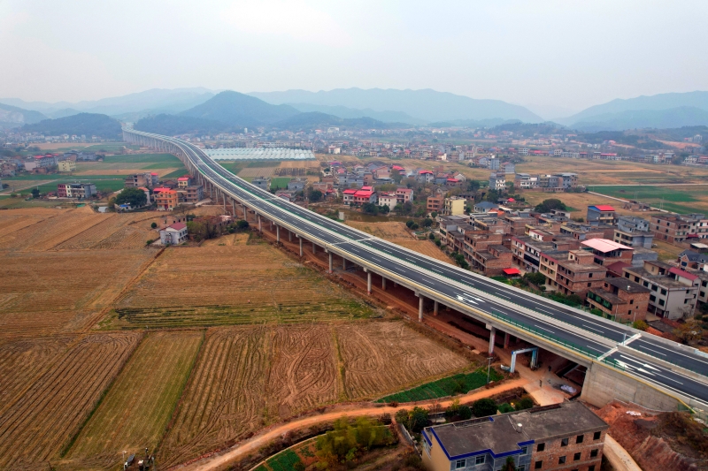 AG�����羺���ֲ�(�й���)������