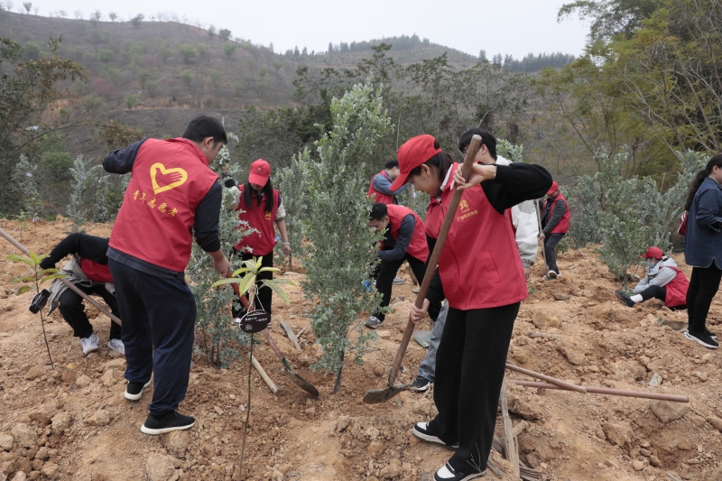 AG³¬Íæ»áµç¾º¾ãÀÖ²¿(ÖйúÇø)¡¤¼¯ÍÅ